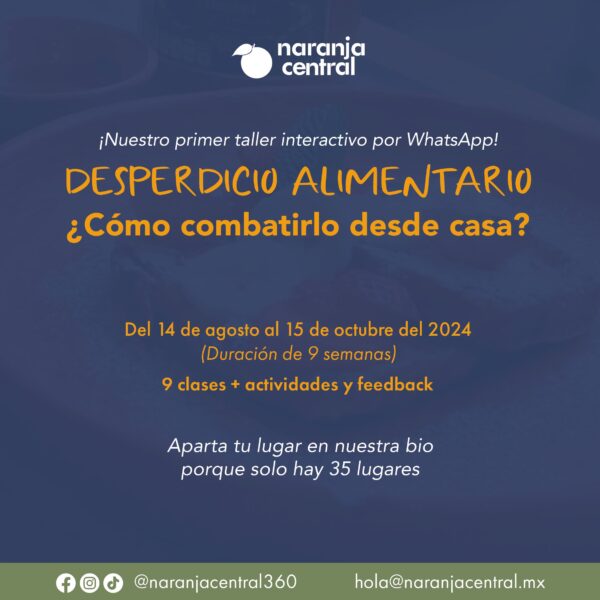 Desperdicio Alimentario en Casa (Whats Workshop)